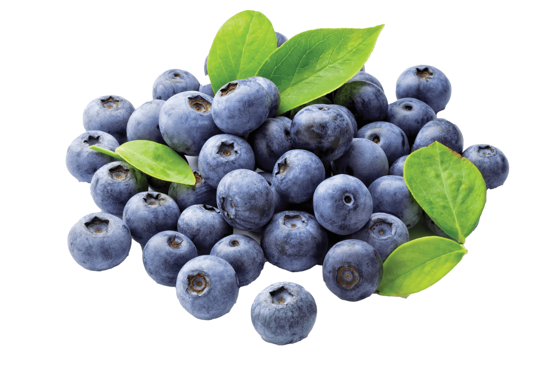 Blueberries